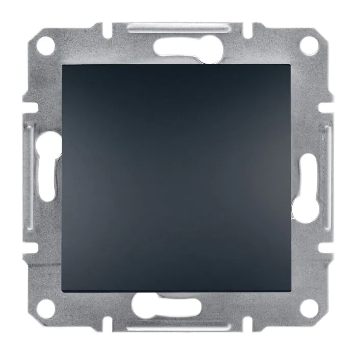 Zaślepka ramki Schneider Electric EPH5600171