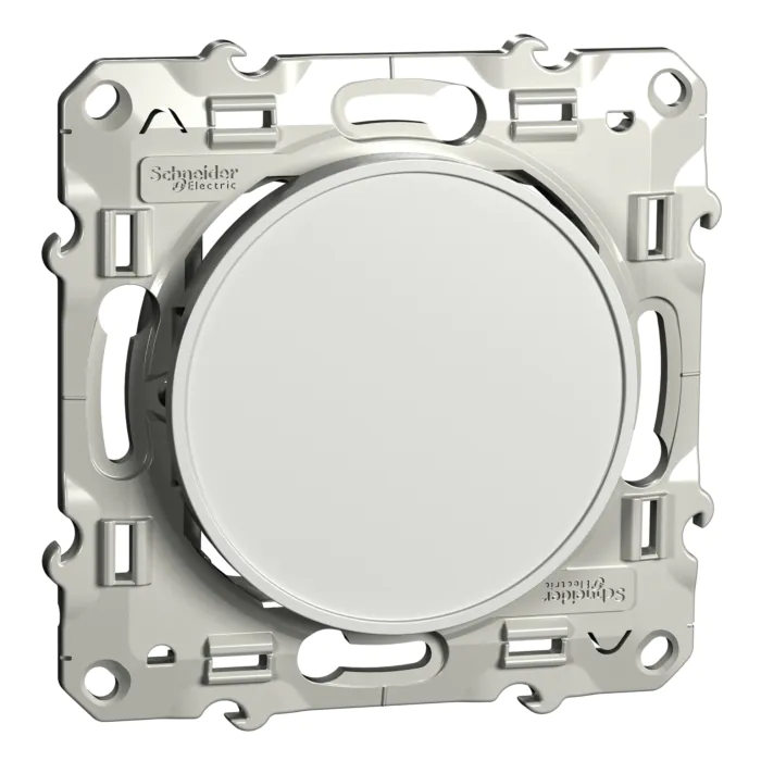 Zaślepka ramki Schneider Electric S520666