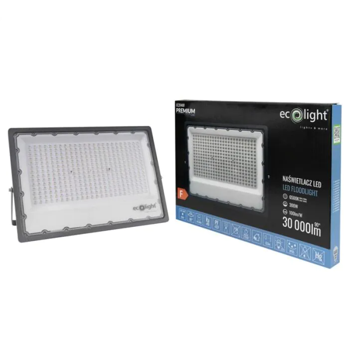 Naświetlacz LED Eco Light EC20488