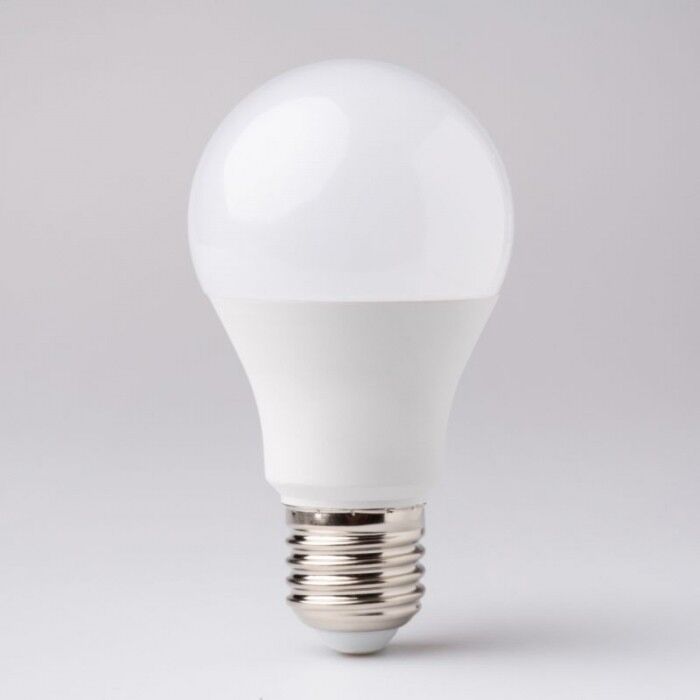 Żarówka LED Eco Light EC79387