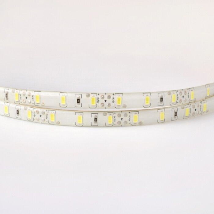 Taśma LED Eco Light EC79649