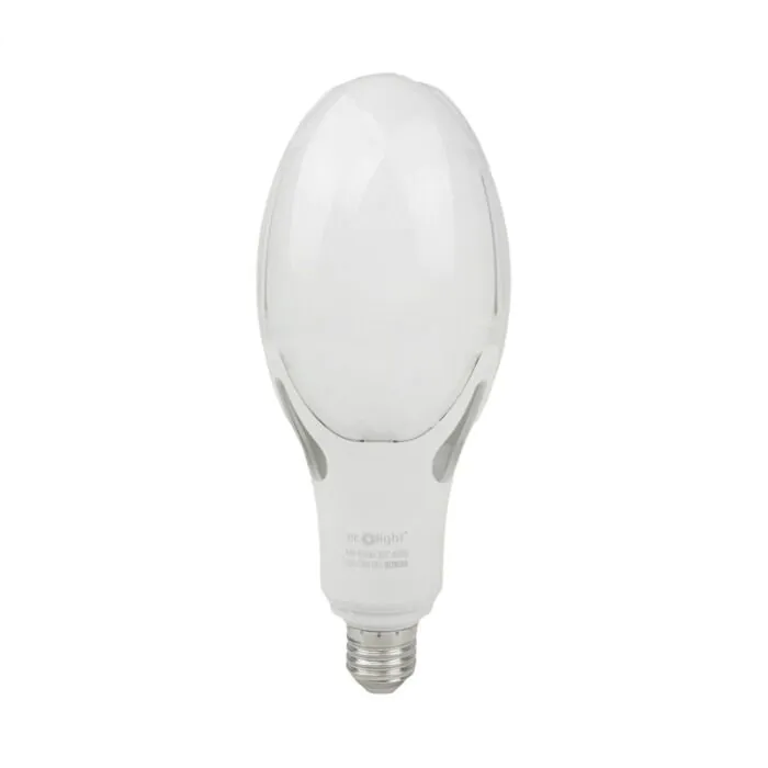 Żarówka LED Eco Light EC20500