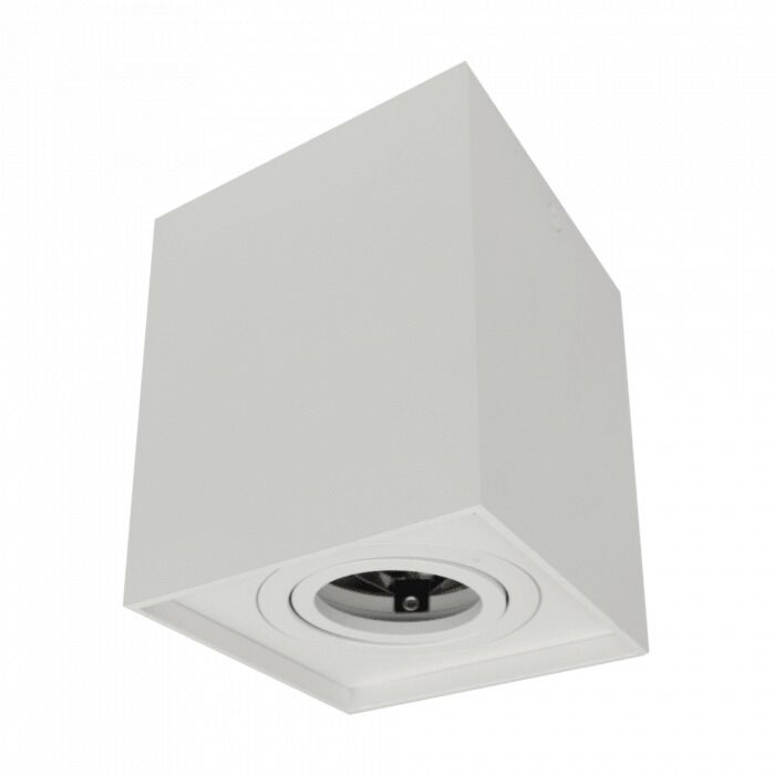 Oprawa downlight Eco Light EC79965