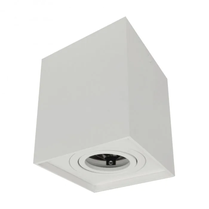 Oprawa downlight Eco Light EC79965