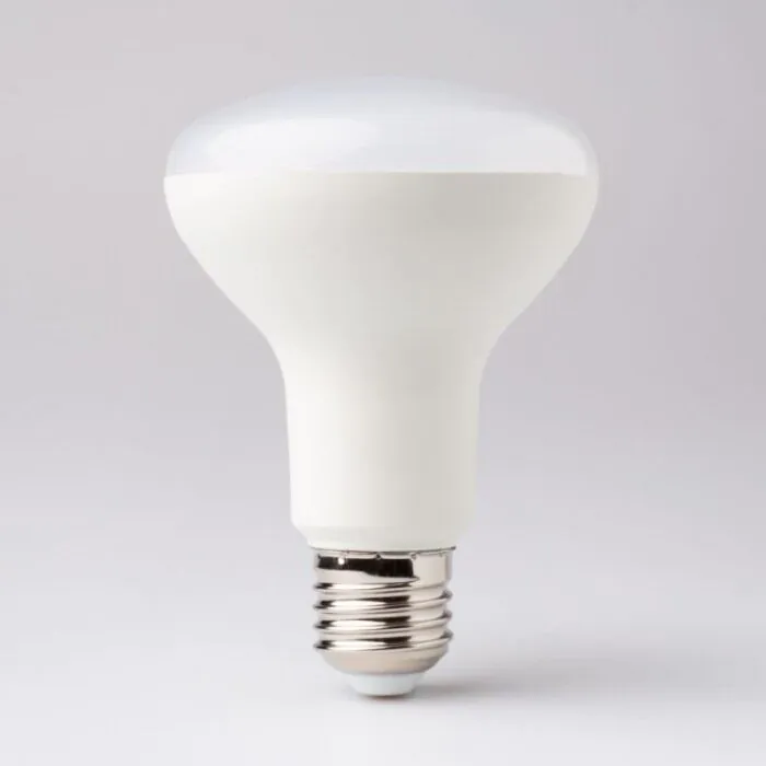 Żarówka LED Eco Light EC67739