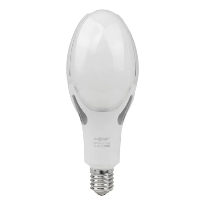 Żarówka LED Eco Light EC20505