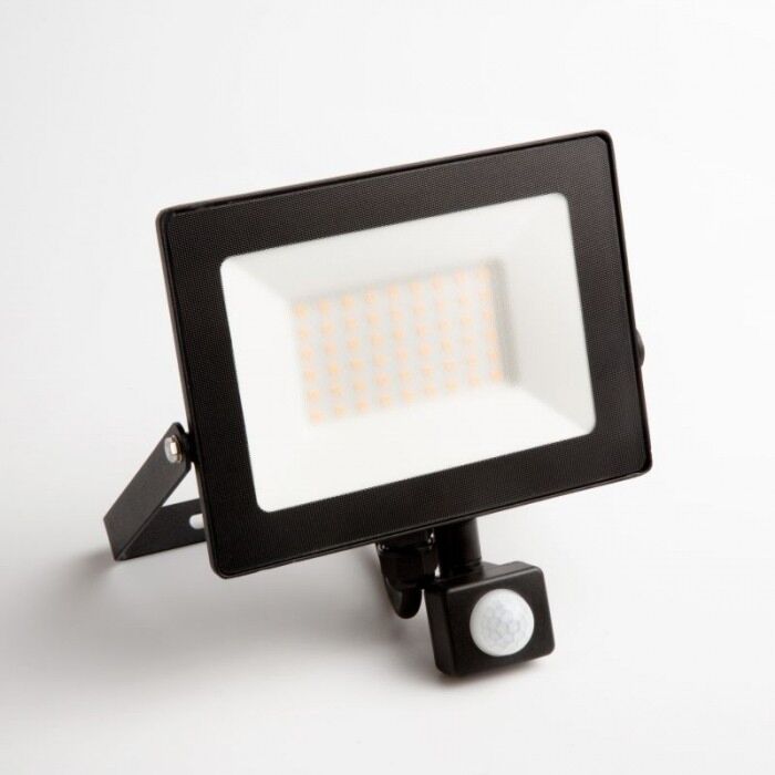 Naświetlacz LED Eco Light EC79887