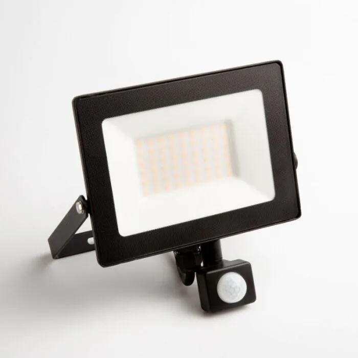 Naświetlacz LED Eco Light EC79887