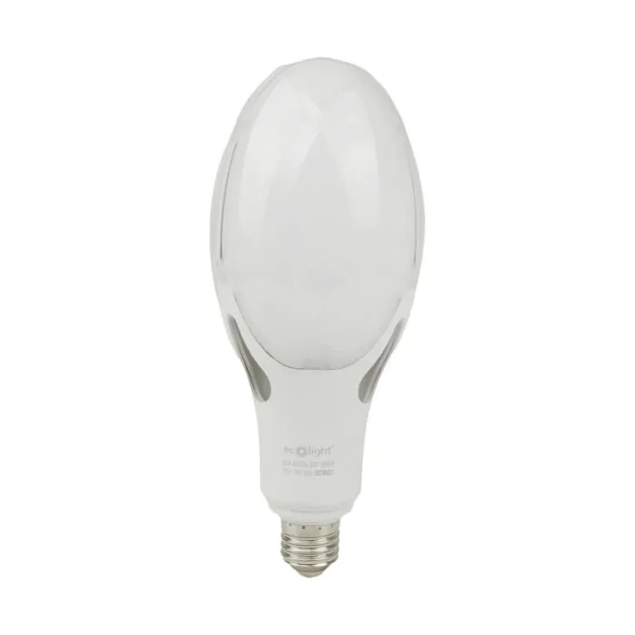 Żarówka LED Eco Light EC20501