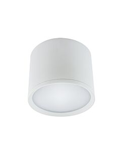 Oprawa downlight, Oprawa sufitowa Struhm 03109
