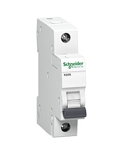 Wyłącznik nadprądowy Schneider Electric A9K01110