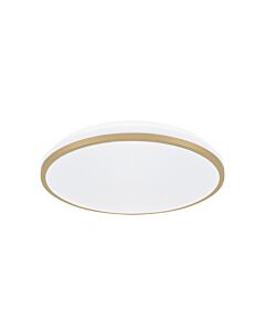 Plafon sufitowy Struhm 04346