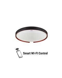 Plafon sufitowy Struhm 04076