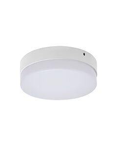 Plafon sufitowy Struhm 03087