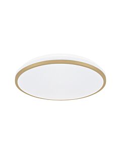 Plafon sufitowy Struhm 04347