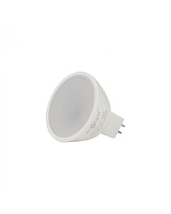 Żarówka LED Eco Light EC79755