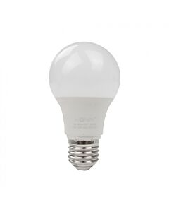 Żarówka LED Eco Light EC61091