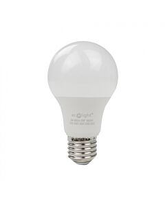 Żarówka LED Eco Light EC61093