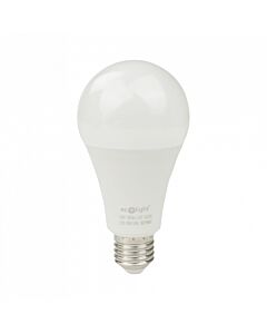 Żarówka LED Eco Light EC79667