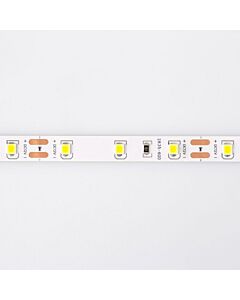 Taśma LED 300 4.8W 4000K 300lm 5m Eco Light EC79350