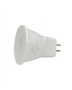 Żarówka LED Eco Light EC79079