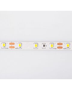 Taśma LED 300 4.8W 4000K 200lm 5m Eco Light EC79092