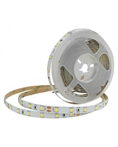 Taśma LED Eco Light EC79707