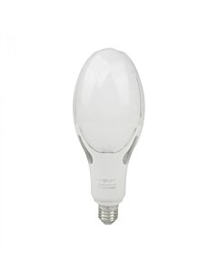 Żarówka LED Eco Light EC20500