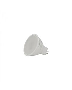 Żarówka LED Eco Light EC79245