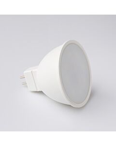 Żarówka LED Eco Light EC79385