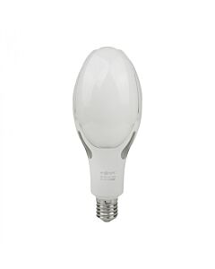 Żarówka LED Eco Light EC20502