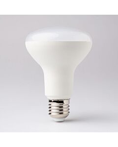 Żarówka LED Eco Light EC67739