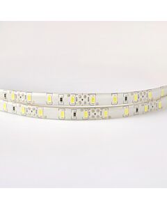 Taśma LED Eco Light EC79650