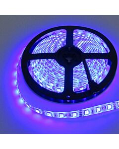 Taśma LED Eco Light EC79349