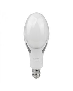 Żarówka LED Eco Light EC20505