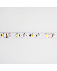 Taśma LED Eco Light EC79875