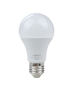 Żarówka LED Eco Light EC20060