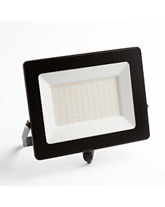 Naświetlacz LED Eco Light EC79866