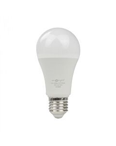Żarówka LED Eco Light EC79666