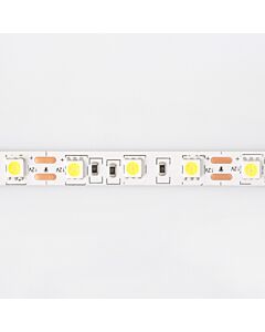 Taśma LED 300 14.4W 6500K 800lm 5m Eco Light EC79364
