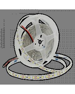 Taśma LED 600 9.6W 6500K 600lm 5m Eco Light EC79355