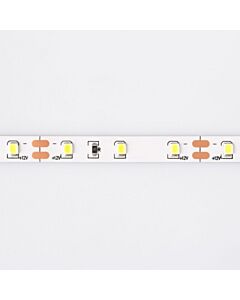 Taśma LED 300 4.8W 6500K 300lm 5m Eco Light EC79016