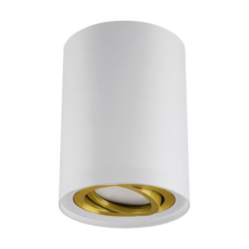 Oprawa downlight natynkowa HARY GU10 lampa okrągła tuba 35W biały/złoty STRUHM 04239