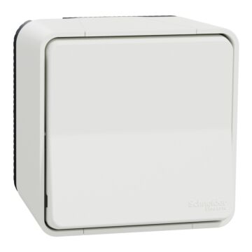 Włącznik podwójny (świecznikowy), Włącznik schodowy, Włącznik hermetyczny Schneider Electric MUR39021
