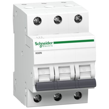 Wyłącznik nadprądowy Schneider Electric A9K02320