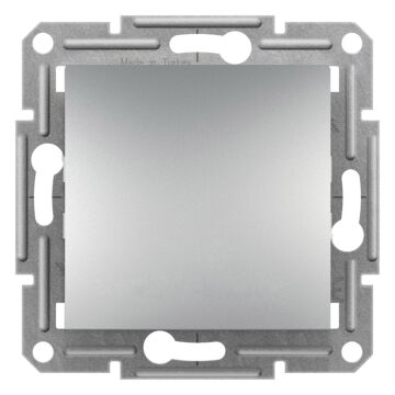 Zaślepka ramki Schneider Electric EPH5600161
