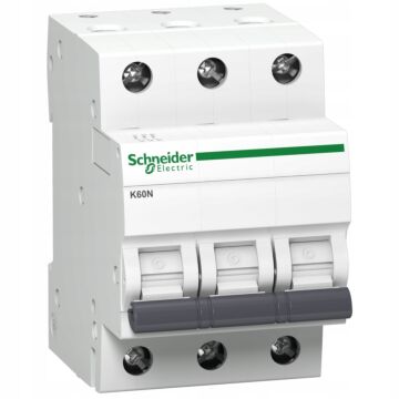 Wyłącznik nadprądowy Schneider Electric A9K01316