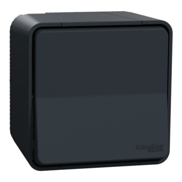 Włącznik podwójny (świecznikowy), Włącznik schodowy, Włącznik hermetyczny Schneider Electric MUR35021