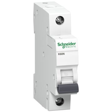 Wyłącznik nadprądowy Schneider Electric A9K02120