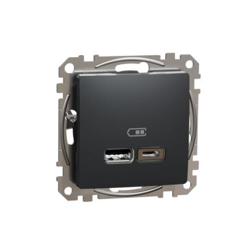 Gniazdo USB Schneider Electric SDD114402